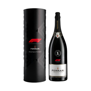 Ferrari Jeroboam F1 3 l 12% obj.